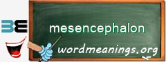 WordMeaning blackboard for mesencephalon